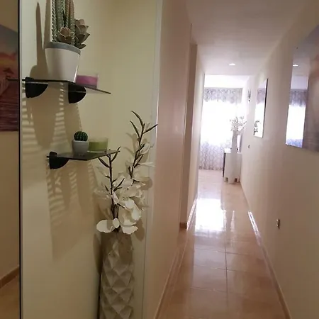 Apartment Elite *